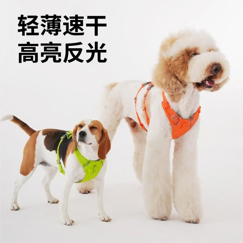 轻薄胸背