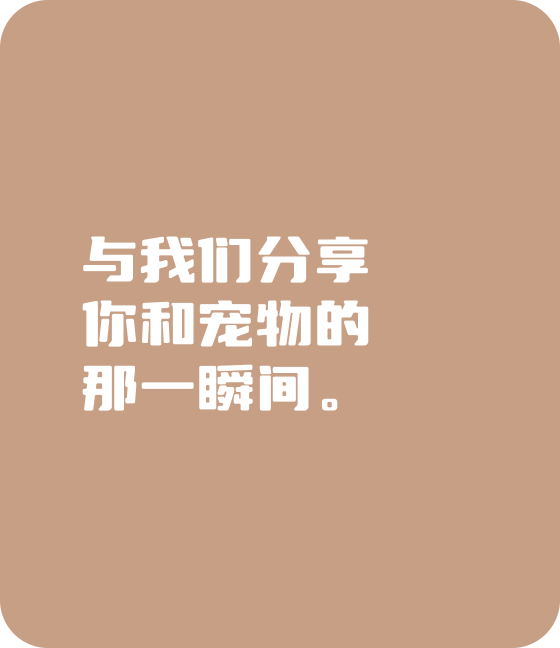 宠爱，无处不在